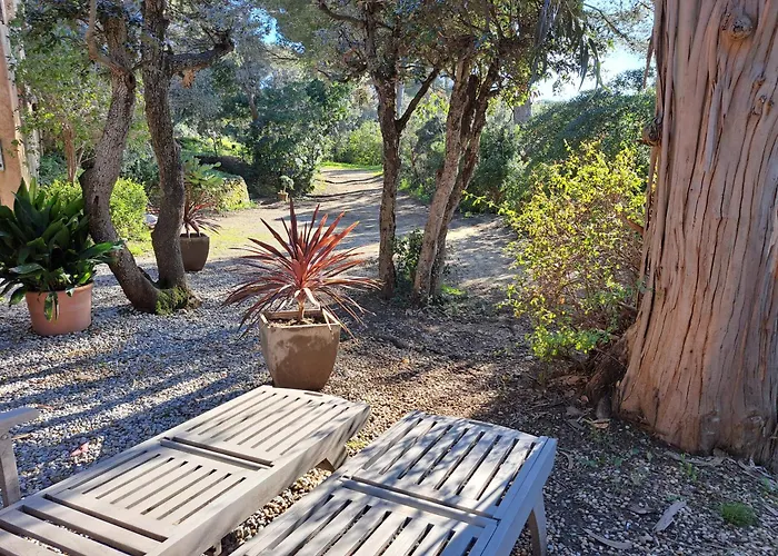 Bed & Breakfast Clos Helene Hyeres